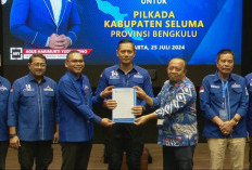 Teddy - Gustianto, Kantongi B1 - KWK Partai Demokrat