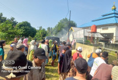 Pemdes Dusun Baru Beraktivitas Normal, Segal Kantor dan Las Gerbang, Dibuka