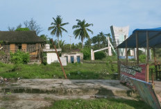 Pemerintah Dorong Sektor Pariwisata Jadi Mesin Penggerak Pertumbuhan Ekonomi
