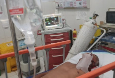 8 Jam Dirawat, Petani Kopi Asal Masat Bengkulu Selatan Meninggal Dunia Usai Terlibat Lakalantas