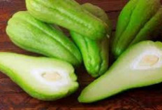 Manfaat Labu Siam untuk Kesehatan yang Perlu Anda Ketahui