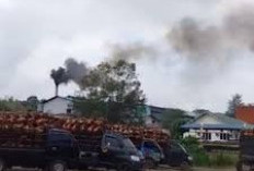 Pabrik Sawit PT AIP III Tutup, Ratusan Pekerja Terkena PHK