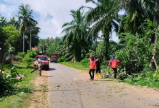 Cuaca Tidak Baik-Baik di Wilaya Bengkulu Selatan, Potensi Bencana Alam Terbuka