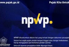 DJP, Ungkap Kebocoran Data NPWP Penduduk Indonesia