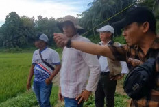 Atasi Kekeringan Sawah Tadah Hujan, Sepakat Bangun Embung