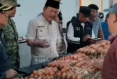   Wabup Bengkulu Selatan Yevri Sudianto Cek Harga Sembako di Pasar