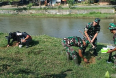 Kodim 0425 Seluma Hijaukan Irigasi Lubuk Kebur