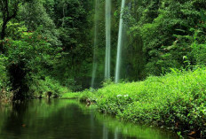 10 Air Terjun  di Pagar Alam, Yang Wajib Anda Kunjungi