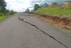 Masih Rusak, Jalan Alternatif Napal - Jalur 2 Tais Belum Diperbaiki