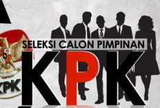 Nawawi Wanti-wanti, Pansel Capim KPK, Jangan Sampai Pilih Orang Pemerintahan Semua