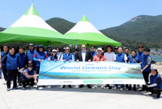   DP World Luncurkan Inisiatif Restorasi Padang Lamun Global Pertama di Korea Selatan
