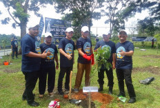 BWS VII Tanam 250 Pohon Buah di Bendung Seluma