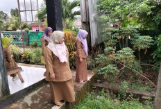 Dinkes Bengkulu Selatan Minta Warga Waspada DBD, Cuaca Tak Menentu