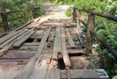  Warga dan Pelajar Berharap Jembatan Penghubung  Aiak Paungan Segera Diperbaiki! Sudah Rusak Berat