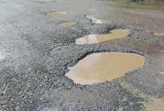 Jalan Lintas Bengkulu–Tais di Seluma Barat Kembali Rusak, Pengendara Mengeluh