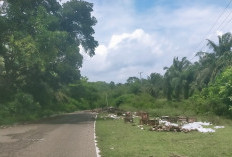 Pinggir Jalan Sekunyit, Jadi Tempat Sampah Liar 
