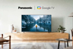 Google TV Panasonic 4K 65 inch TH-65MX650G
