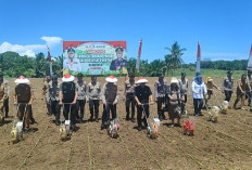 Gubernur Bengkulu Luncurkan Lomba Ketahanan Pangan 'Sade Sahe', Siapkan Hadiah Rp 2,2 Miliar