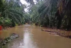 Hujan Terus Turun, Akses ke Desa Riak Siabun dan Mekar Sari Lumpuh