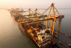   Antrian Petikemas Sampai 6 Hari di TPS, Ini Kata Pelindo 