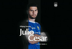 Persib Bandung Resmi Rekrut Julio César, Bek Tengah Brasil sebagai Tembok Baru