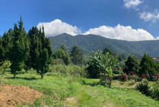 Taman Nasional Gunung Halimun Salak