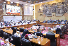   Kemnaker dan Komisi IX DPR RI Sepakat Perkuat Kualitas MagangHub 2026