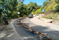 Tumpahan Solar di Jalan Manna-Pagar Alam, BPBD BS Minta Pengguna Kendaraan Agar Berhati-Hati