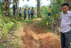 300 Meter, Pemdes Tungkal 1 Bangun Jalan Lapen Tahun 2025