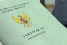 Sertifikat Tanah Terbit Sebelum 1997, Segera Cek ke ATR/BPN