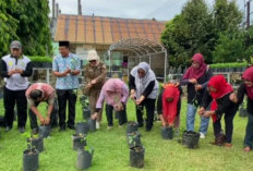 Manfaatkan Pekarangan, Asisten II Ajak ASN dan Masyarakat Tanam Cabai di Halaman Perkarangan