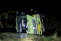 Gagal Menanjak, Truk Fuso Muatan Pasir Terguling di Seluma