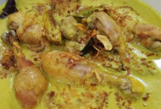 Opor Ayam yang Lezat, Cocok Buat Sahur, Ini Resepnya