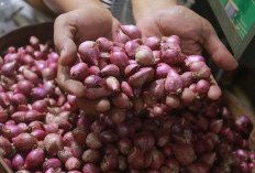 Harga Cabai dan Bawang Merah Masih Tinggi, Belum Kunjung Normal