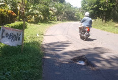 Belum Lama Diperbaiki, Kini Jalan Lintas Rusak Lagi