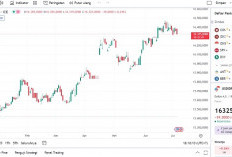 7 Cara Menghindari Penipuan Trading, Paling Ampuh   