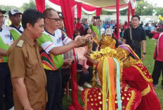 O2SN Tingkat Kabupaten Usai, Disdikbud Sudah Siapkan Atlet Ke Tingkat Provinsi