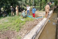 Babinsa  Uji Coba Pompanisasi  Sawah  Desa Sukarame Kedurang Ilir