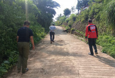 Verifikasi Lapangan PPTKH di Seluma Rampung, Penentuan Pelepasan Kawasan Hutan Menunggu Keputusan KLHK