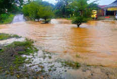 Langganan Banjir, BPBD Seluma Gelar Gotong Royong Bersihkan Gorong-Gorong di Talang Saling