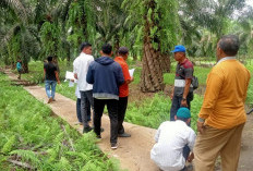 Kecamatan Talo, Evaluasi dan Cek Pembangunan Fisik Desa Durian Bubur