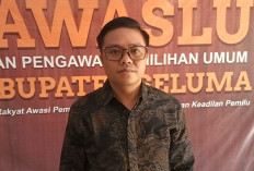 Bawaslu Seluma, Bakal Awasi Pemuktahiran Data Pemilih