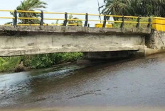 Abrasi Laut, Jembatan Penghubung Ilir Talo – Seluma Selatan Terancam Putus Total