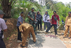 Pemdes Bunut Tinggi, Bangun JSP Pakai DD