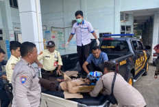 Gagal Nyalip, Pelajar SMKN 3 Seluma Meninggal Dunia