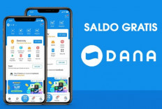 Cara Mendapatkan Saldo DANA Gratis dengan Mudah