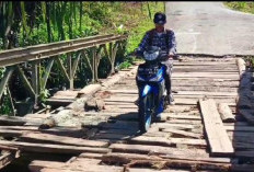 Tak Kunjung Disentuh Pembangunan, Warga Lubuk Telentang, Keluhkan Kondisi Jembatan Rusak