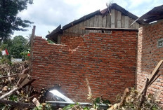 Hujan Angin, Rumah Warga Sidoluhur Seluma Ambruk Tertimpa Pohon