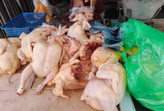 Sejak Akhir Tahun, Daging Ayam Potong Bersih Bertahan Rp 40 Ribu Per Kg