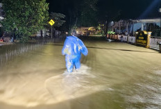 Jalinbar Bengkulu–Tais Lumpuh Total Akibat Banjir, Ratusan Kendaraan Terjebak Macet dan Puluhan Rumah Terendam